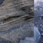 旅ガラス_伊豆大島-1