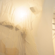 2026_yuri_miyauchi_1