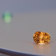 2026_nagisa_mizuno_1