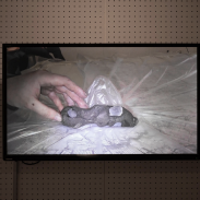 2026_miki_murakami_5